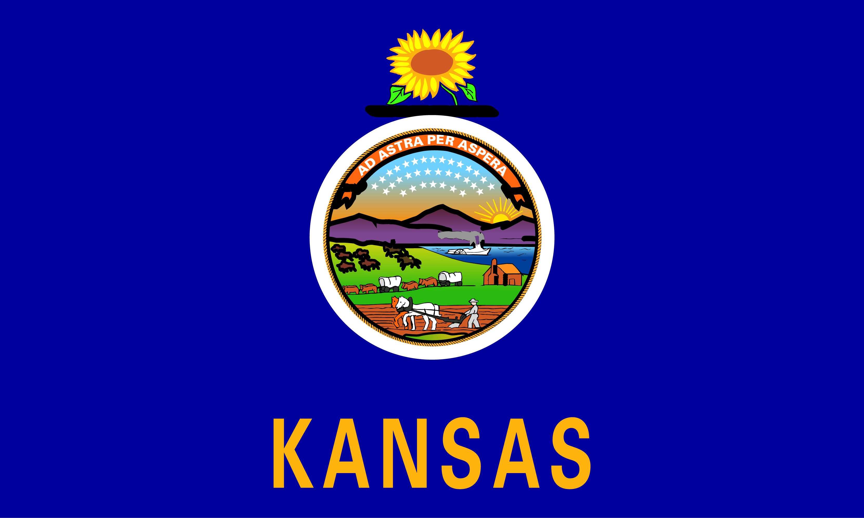 Kansas Flag