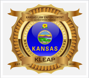 "kleap logo sticker large"